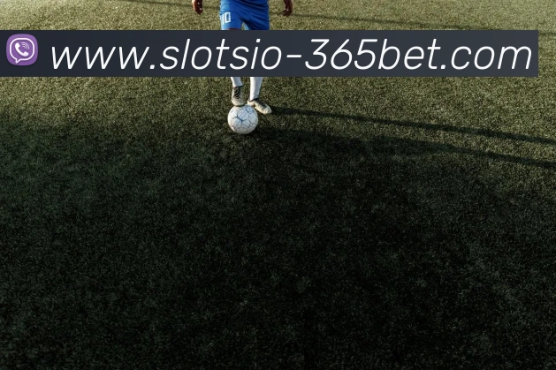 365bet平台生态图