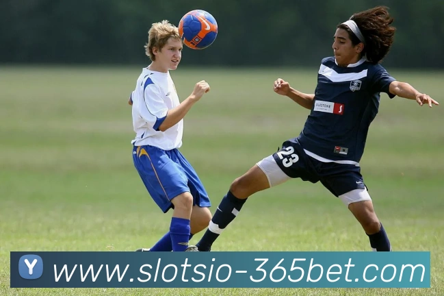 辅助工具 辅助工具